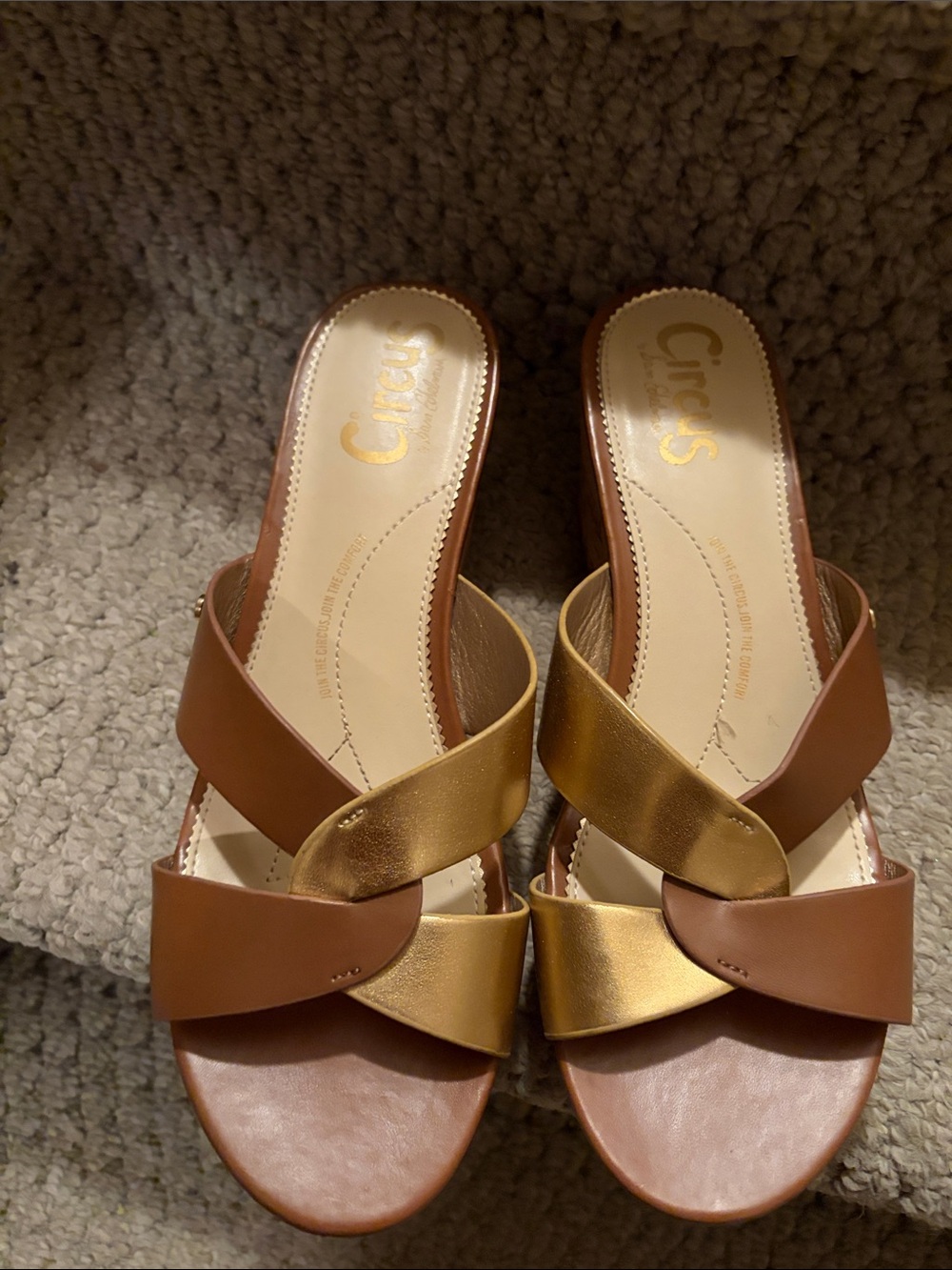 Circus by Sam Edelman Brown and Gold Twist Leather Slide Mules